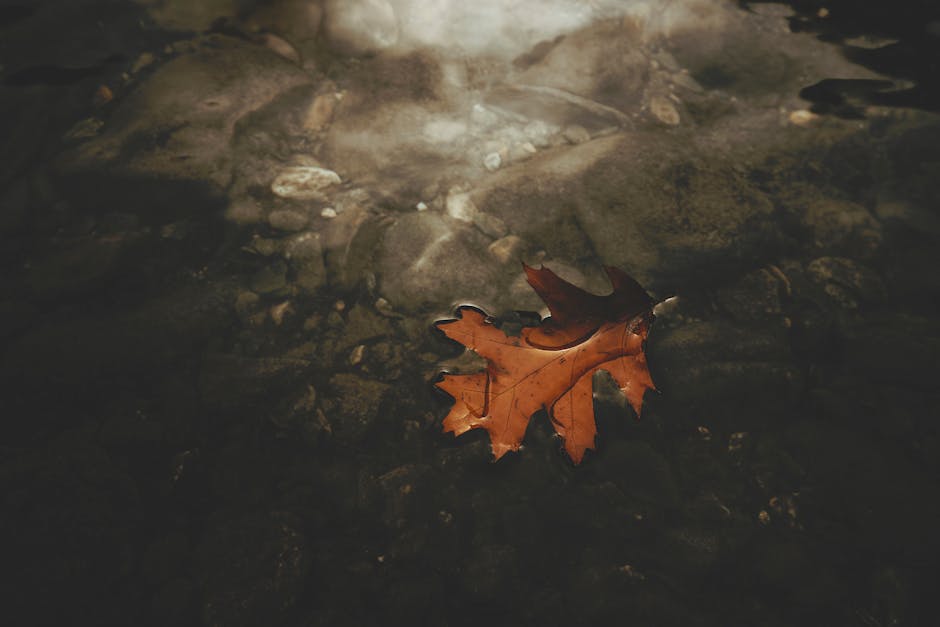 敵の足音って、本当に聞こえるようになるの？